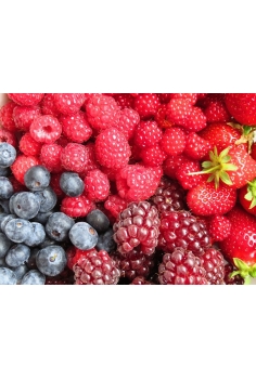 FRUTOS DEL BOSQUE MIX C-14... 2