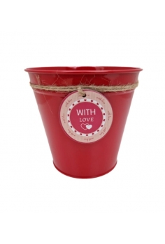 PHALAENOPSIS ROSA... 2