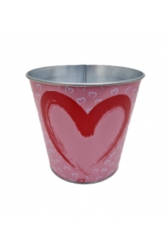 PHALAENOPSIS ROSA... 2