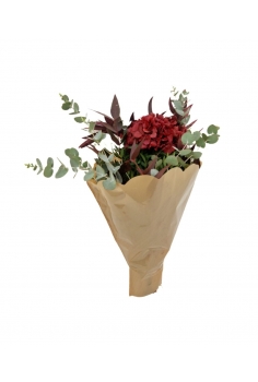 POMO OTONAL HORTENSIA...