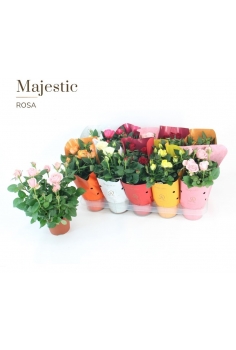 ROSAL MINI MIX C-12 (alt:...