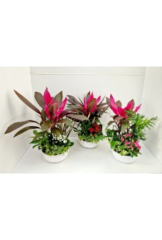 CENTRO C-22 / 5 plantas...