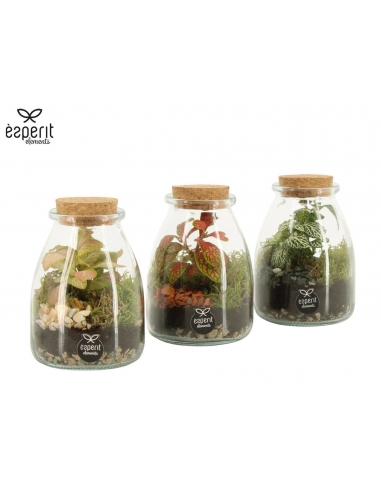 TERRARIO CRISTAL C-9 (alt: 13cm) -1...