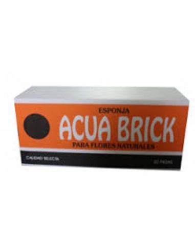 AQUABRICK (espuma floral)...
