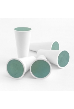 CONOS DE MOLL (para ramos...