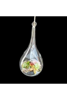 CRASAS CRISTAL LAGRIMA...