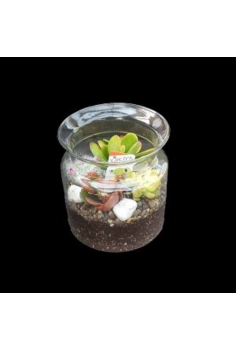 CRASAS CRISTAL MATHEW...