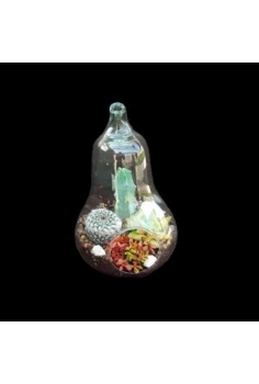 CRASAS CRISTAL PERA...