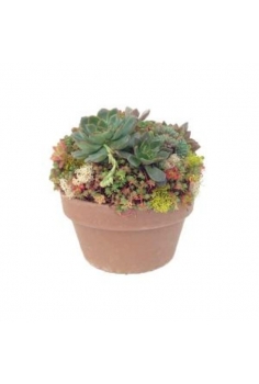 CRASAS CERAMICA EVENT...