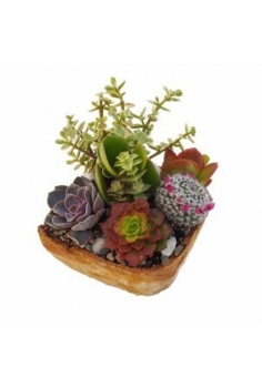 CRASAS CERAMICA CENTRO C-14