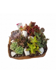 CRASAS CERAMICA CENTRO C-18...