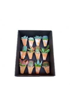 CRASAS CERAMICA MAGNET CONS...