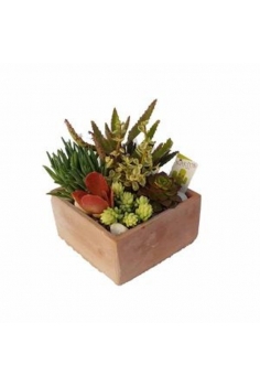 CRASAS CERAMICA ROCALLA...