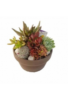 CRASAS CERAMICA ROCALLA...