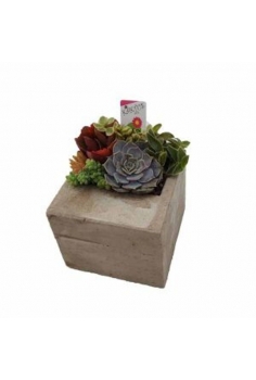 CRASAS CERAMICA STONE...