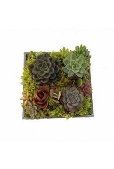 CRASAS CUADRO MADERA...