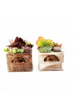 CRASAS POU en madera...