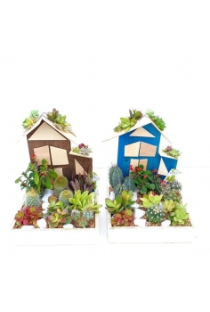 CRASAS MASIA FANTASY en...