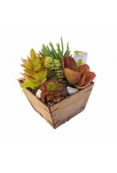 CRASAS ROCALLA en madera...