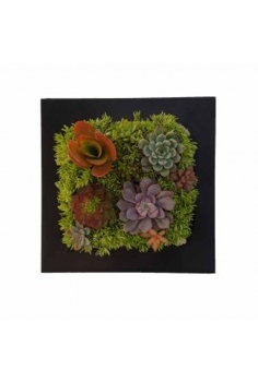 CRASAS CUADRO en zinc...