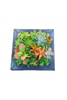 CRASAS CUADRO POU en zinc...