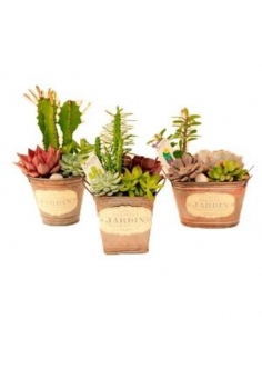 CRASAS MOMA en zinc (13x20cm)