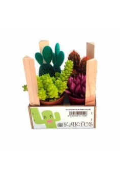 CACTUS MIX PINTADO C-5,5...