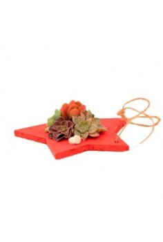 CRASAS STAR en madera (10cm)