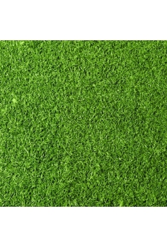 AGROSTIS 1m2 (panncross)...