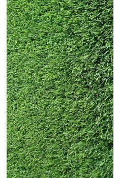 CYNODON DACTYLON 1m2...