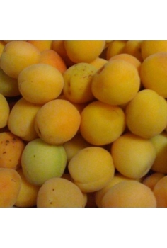 ALBARICOQUE palabras...