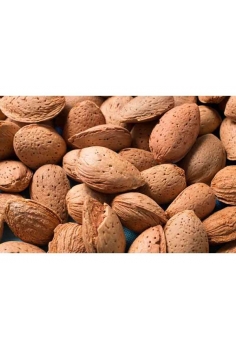 ALMENDRO larguet (formato...