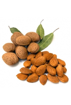 ALMENDRO marcona (formato...