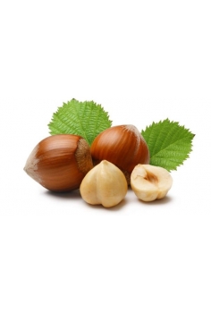 AVELLANO (formato tiesto...