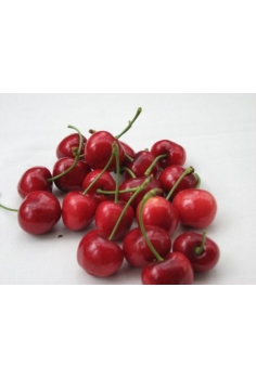 CEREZO sunburst (formato...