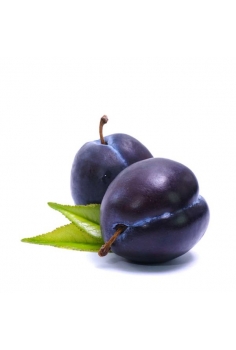 CIRUELO president (formato...