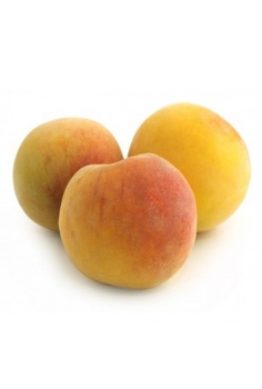 MELOCOTONERO baby gold...