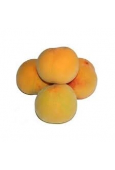 MELOCOTONERO catherine...