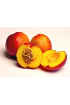 NECTARINA fantasia (formato...