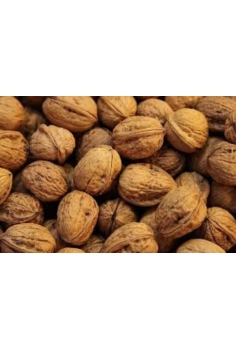 NOGAL (formato tiesto 5L)...