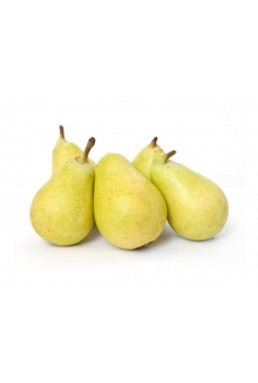 PERAL ercolini (formato...