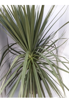 INDIVISA 30L (150-180cm)...