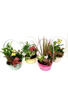 CENTRO MIMBRE C-17 / 4...