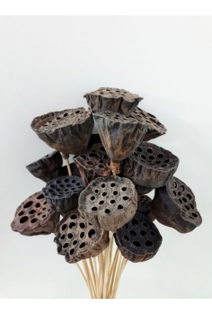 LOTUS PEQUEÑO (Diam:5cm)...