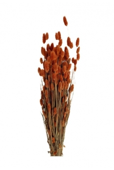 POA NARANJA / largo: 65cm /...