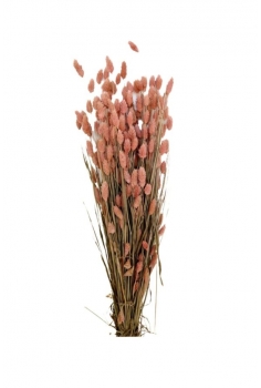 POA ROSA / largo : 65cm /...