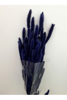 SETARIA (65cm-200gr) AZUL...