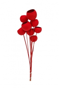 COCO ROJO / largo:60cm /...