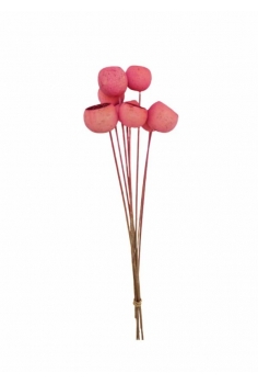 COCO ROSA / largo: 60cm /...