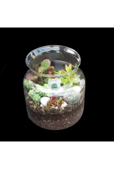 CRASAS CRISTAL MATHEW BIG...